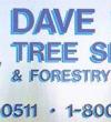 Dave Lund Tree Service and Forestry Co Ltd. - Bradford Directory Listing