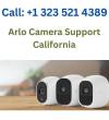 Arlo Camera Not Connecting - 313 W Florence Ave Directory Listing