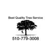 Best Quality Tree Service - California Directory Listing