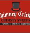 Chimney Cricket Chimeny Sweeps - Huntington Beach, CA USA Directory Listing