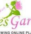 Pixies Gardens - 2024 McDaniel Mill Rd SW Directory Listing