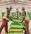 Olam Rice Nigeria Grains - Abebe Village Road, Directory Listing