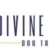 Divine Canine Dog Training - Huntersville Directory Listing