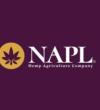 NAPLimited - Delhi Directory Listing