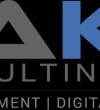 Aaks Consulting Inc - Mississauga, ON L5A 4A1 Canada Directory Listing