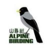 AlpineBirding Tour - Chengdu Directory Listing