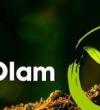 Olam Farms - Iganmu Directory Listing