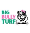 Big Bully Turf - San Diego Directory Listing