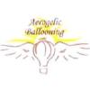 Phoenix Hot Air Balloon Rides - Aerogelic Ballooning - Phoenix, AZ Directory Listing