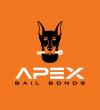 Apex Bail Bonds of Wentworth, NC - Reidsville, NC Directory Listing