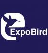 ExpoBird - Karachi Directory Listing