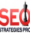 SEO Strategies Pro - Denver Directory Listing